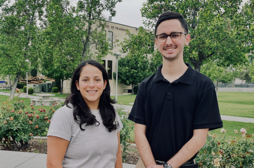 Summer Research Fellowship