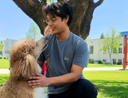 Therapy Dogs
